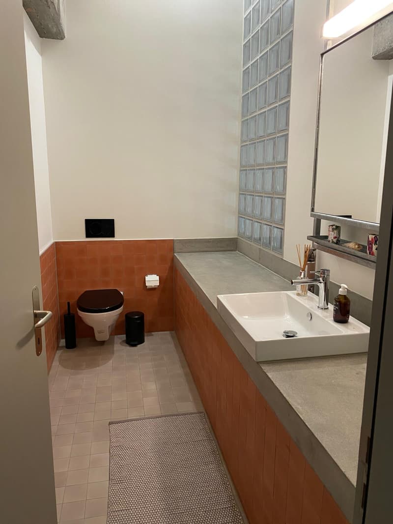 Loft arredato con stile unico in un edificio storico (13)