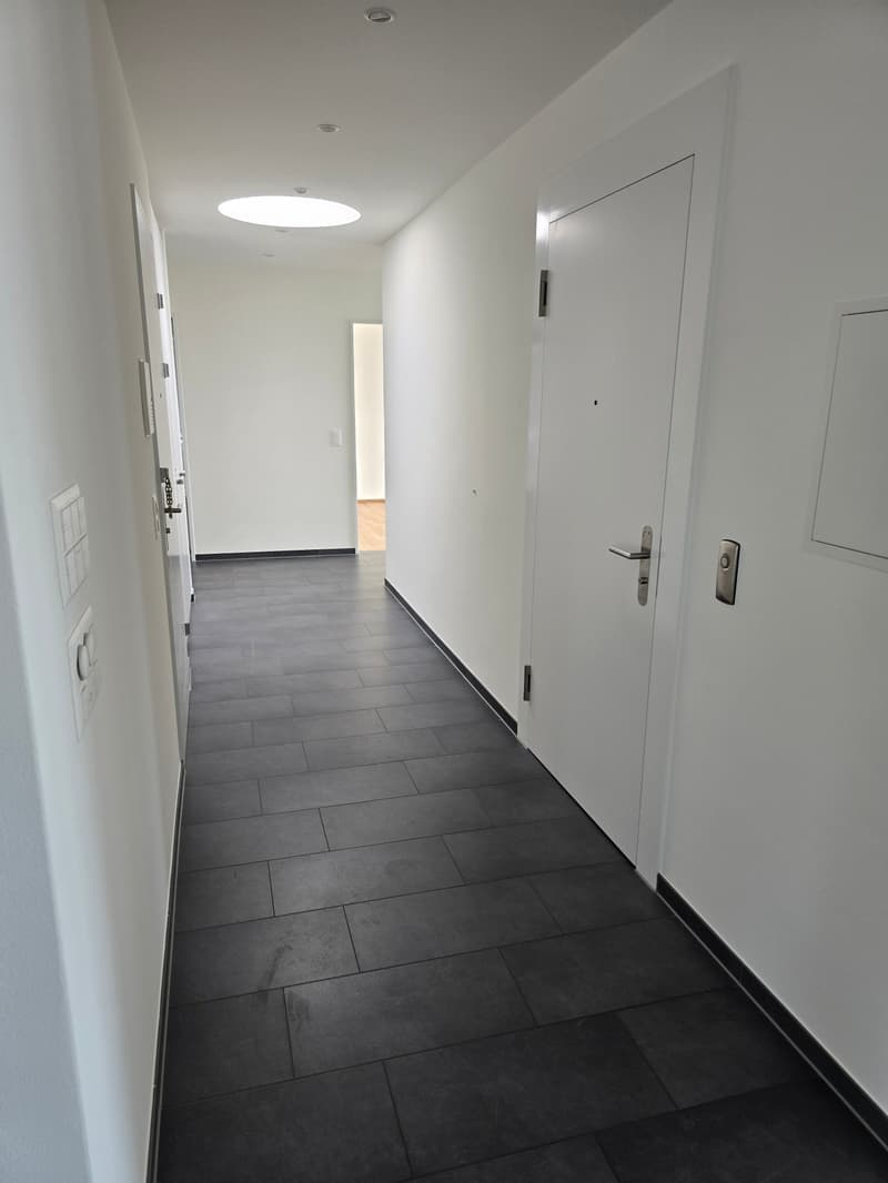 4.5-Zimmerwohnung mit Panoramablick auf See und Berge (14)