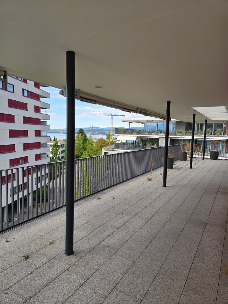 4.5-Zimmerwohnung mit Panoramablick auf See und Berge (6)