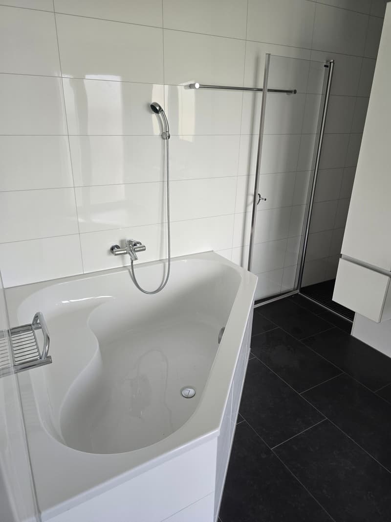 4.5-Zimmerwohnung mit Panoramablick auf See und Berge (11)