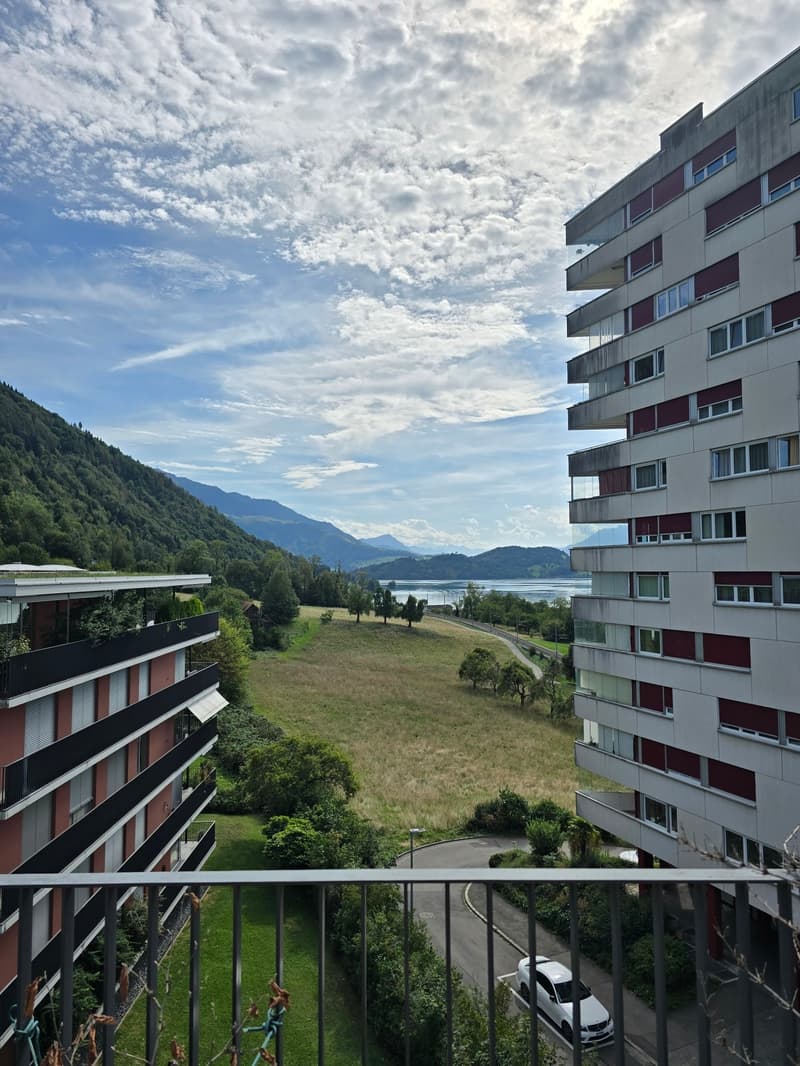 4.5-Zimmerwohnung mit Panoramablick auf See und Berge (3)