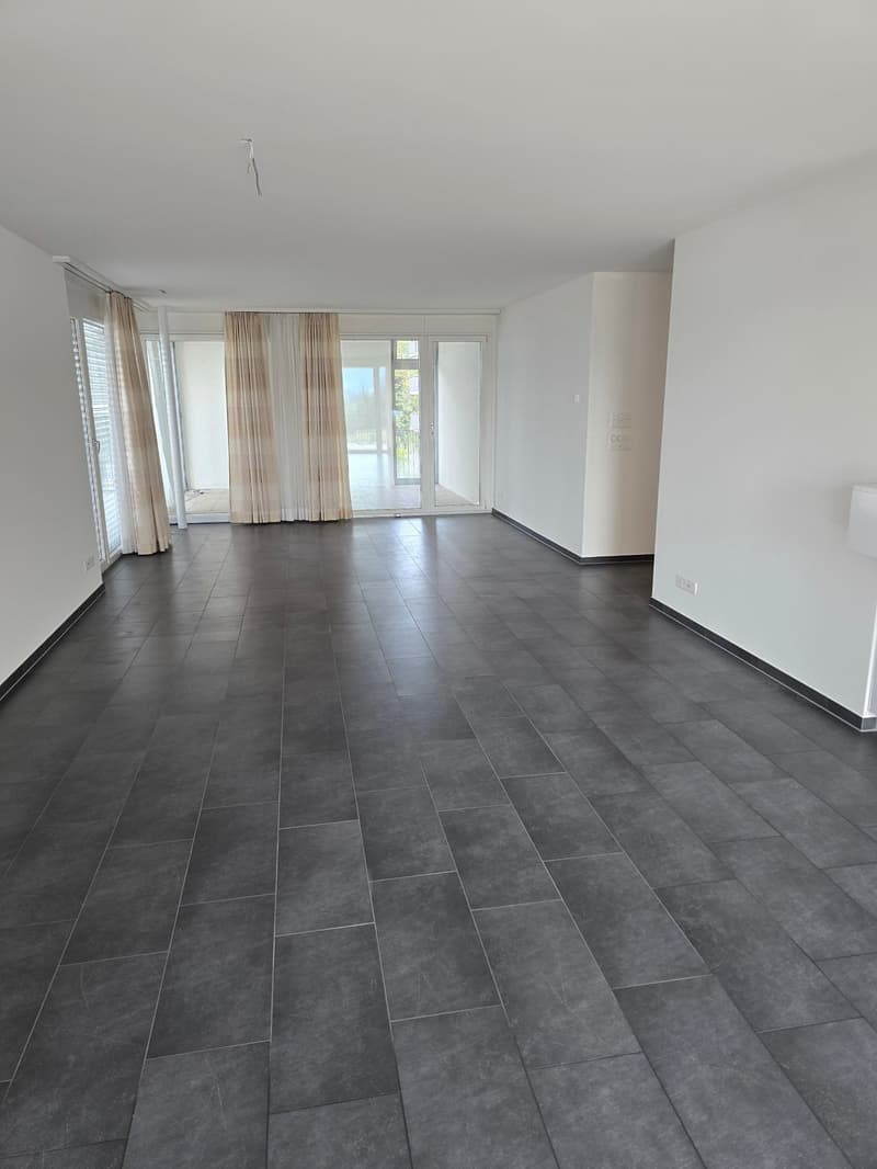 4.5-Zimmerwohnung mit Panoramablick auf See und Berge (9)