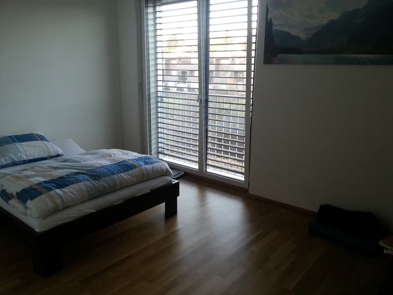 Moderne und grosszügige Wohnung (4)