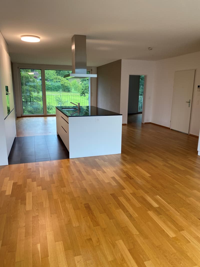 Moderne und grosszügige Wohnung (2)