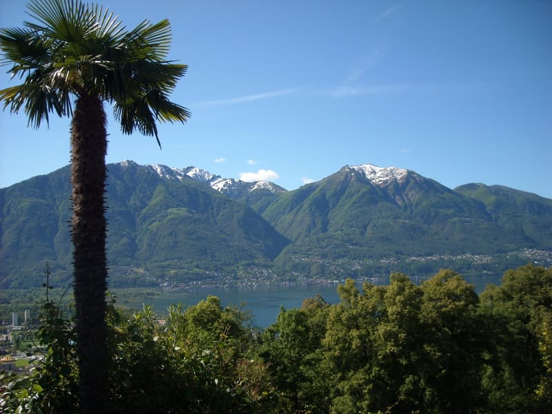 Einfamilienhaus in Contra di Sotto (1)
