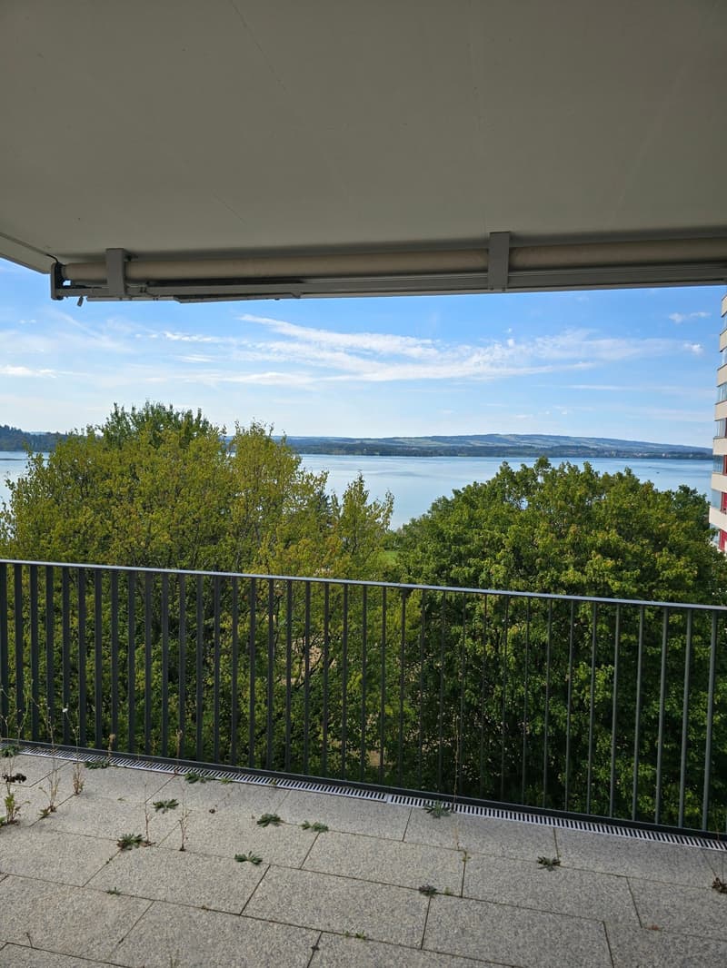 4.5-Zimmerwohnung mit Panoramablick auf See und Berge (1)