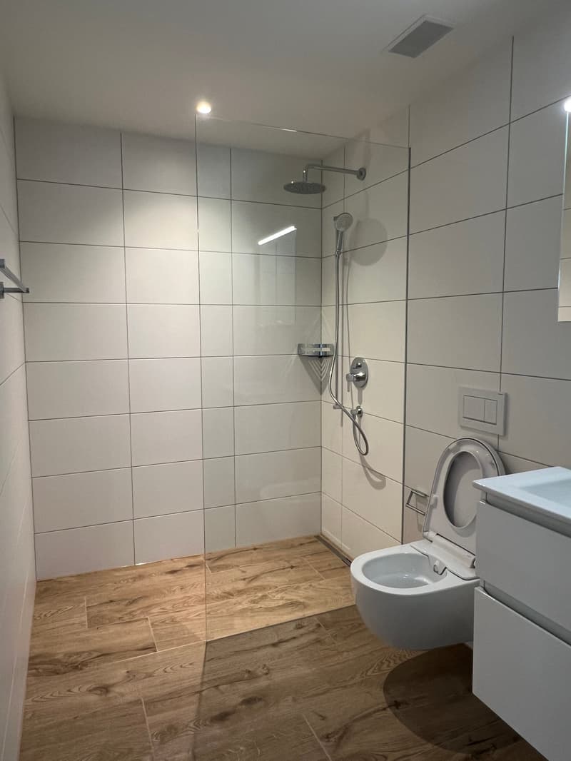 moderne Neubauwohnung (5)