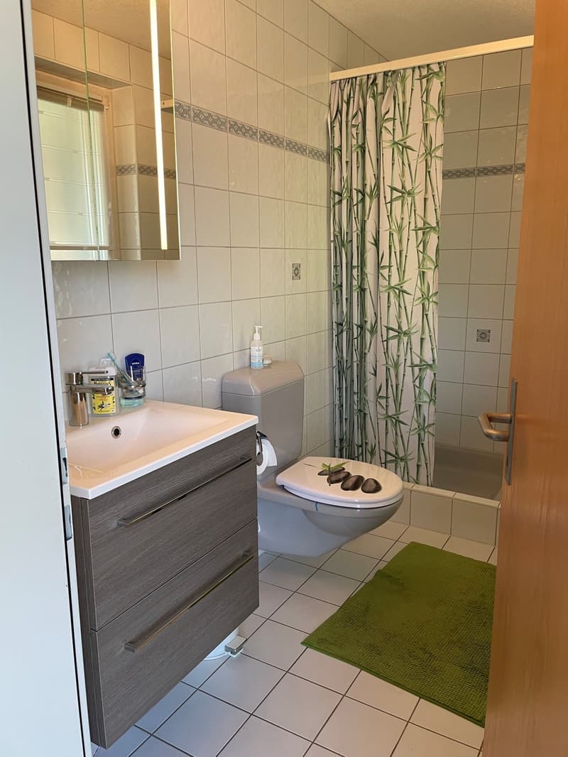 grosszügiges 6.5-Zimmer-Einfamilienhaus in Lostorf! (5)