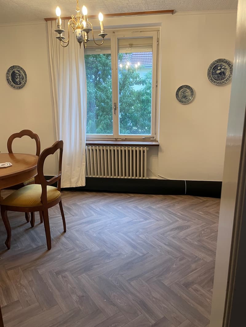 Charmantes Reiheneinfamilienhaus in Olten! (5)