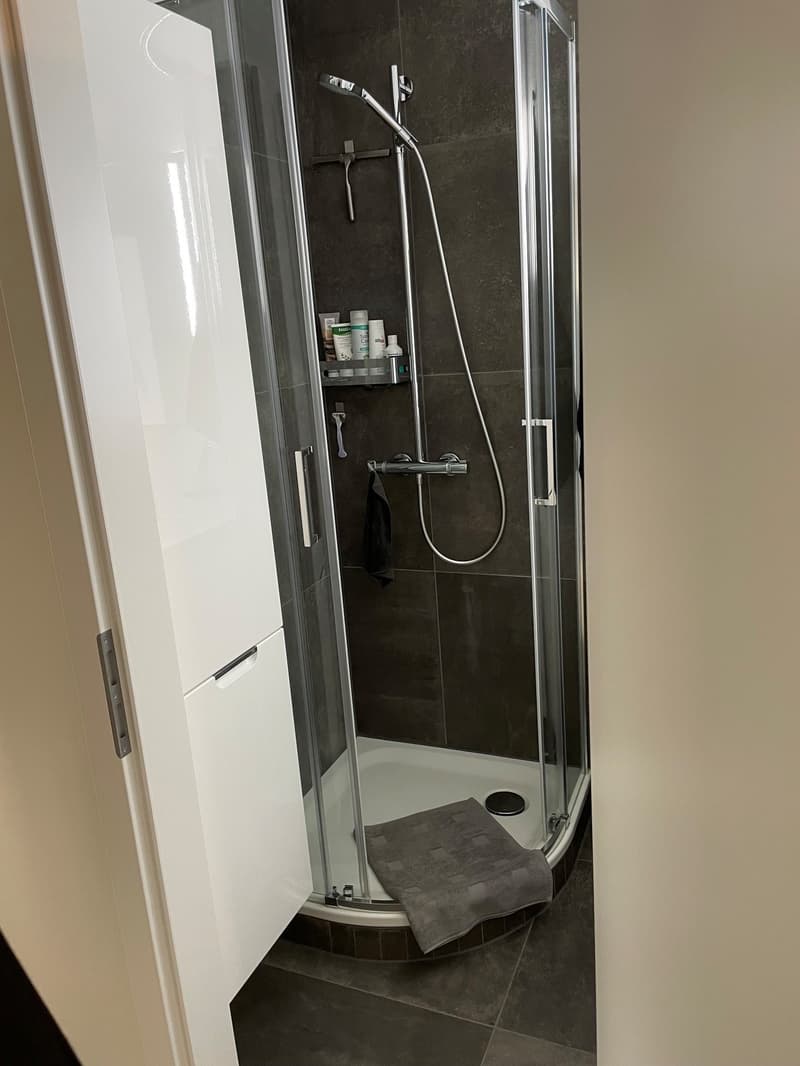 sehr gepflegte 3 1/2-Zimmerwohnung in einem Top-Zustand! (5)