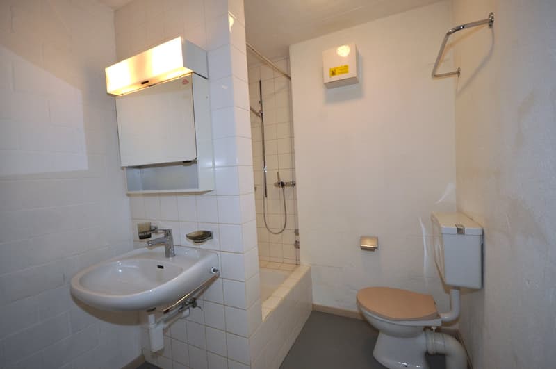 Small bathroom with a sink, toilet, shower