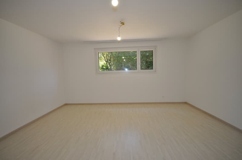 Empty room with white walls, wooden floor, ceiling lights, and a window overlooking trees.