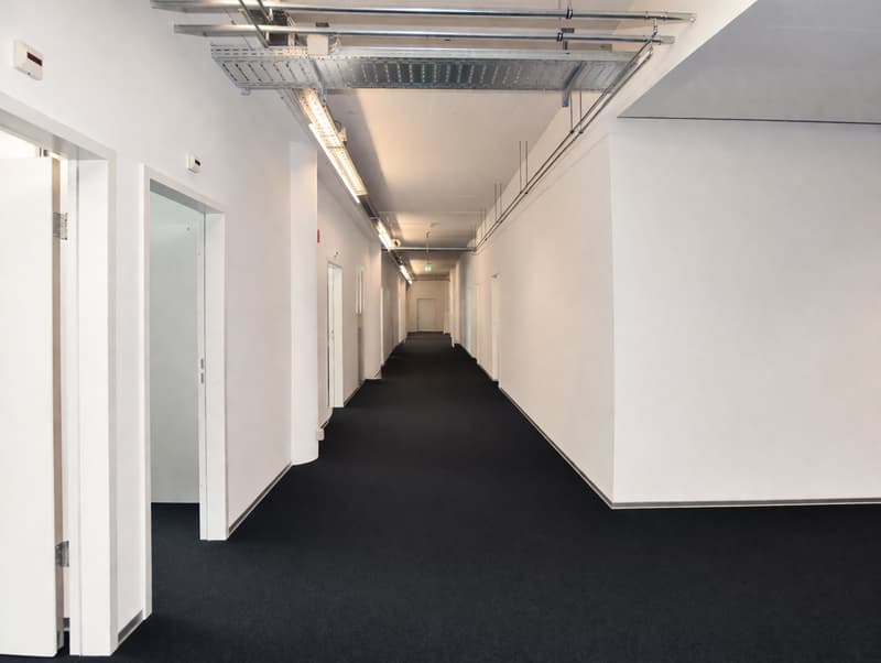 Attraktive Büroflächen in Allschwil (3)