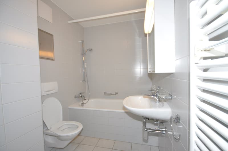 white tiles, bathtub, shower, toilet, sink, radiator