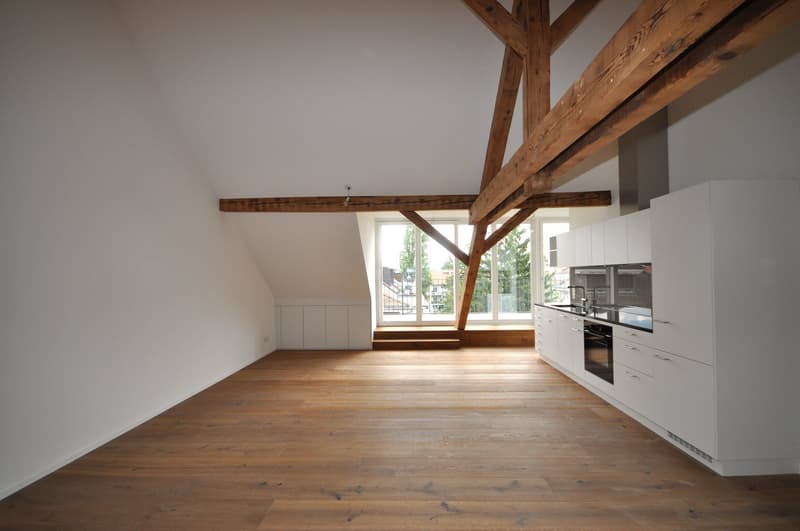 Loft-Charme im Gundeli - wohnen im Baumgartnerhaus (2)