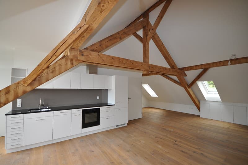 Loft-Charme im Gundeli - wohnen im Baumgartnerhaus (3)