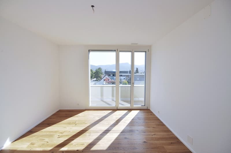 Luxus Attika-Wohnung mit 5 Terrassen und traumhaftem Ausblick (6)
