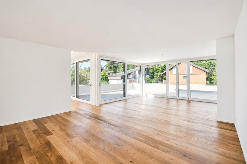Luxus Attika-Wohnung mit 5 Terrassen und traumhaftem Ausblick (2)