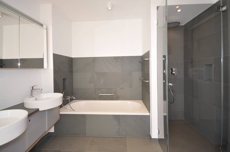 Luxus Attika-Wohnung mit 5 Terrassen und traumhaftem Ausblick (7)