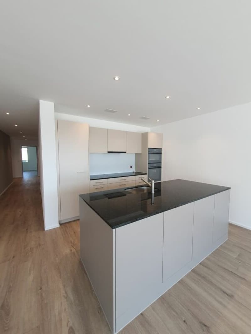 Neubau: 4.5-Zimmer-Eigentumswohnung (13)