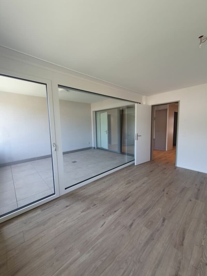 Neubau: 4.5-Zimmer-Eigentumswohnung (5)
