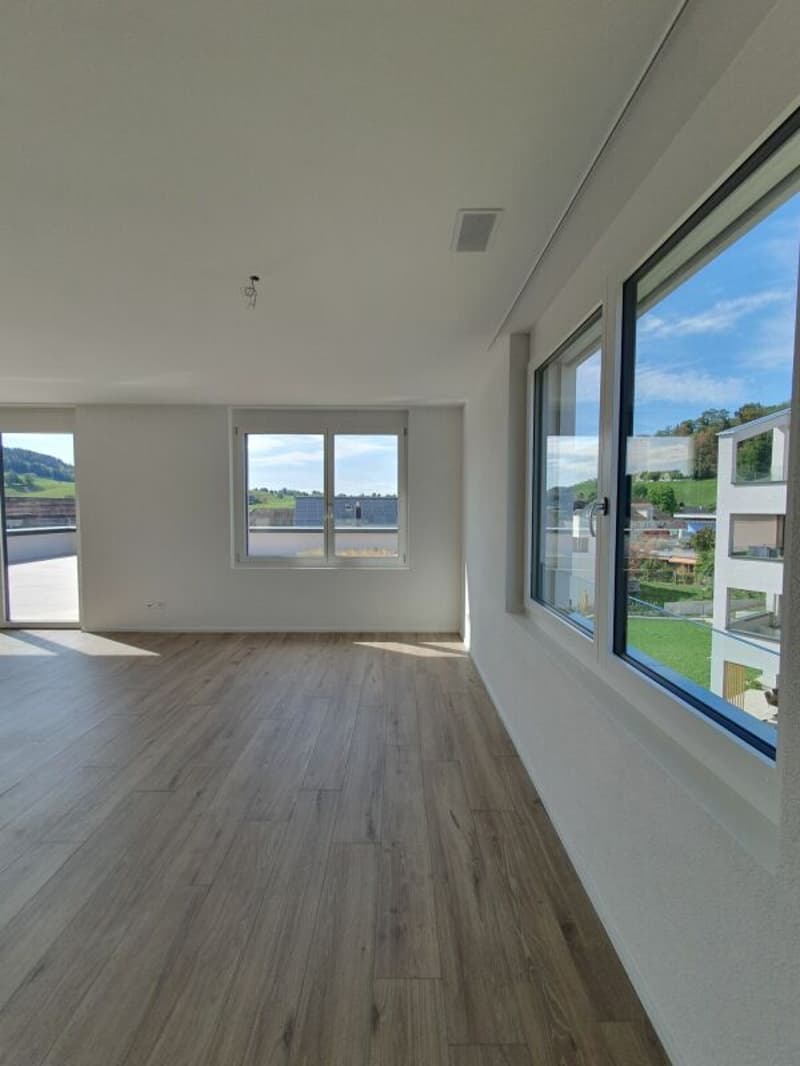 Neubau: 4.5-Zimmer-Eigentumswohnung (9)