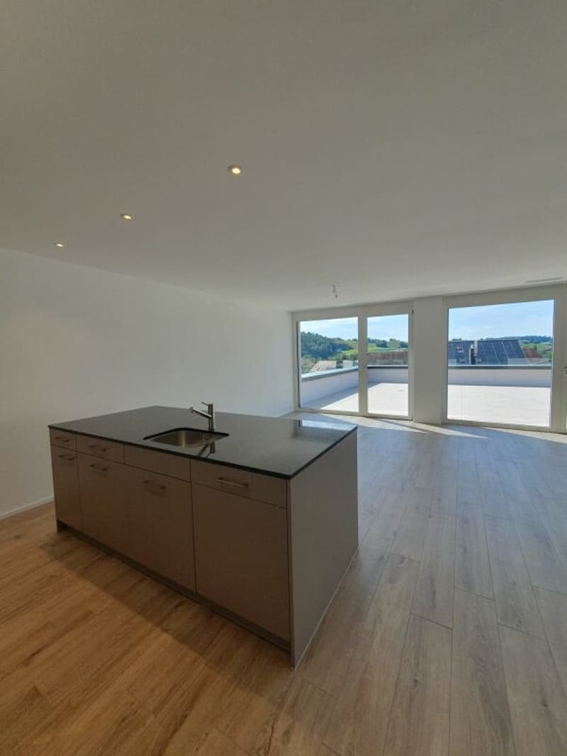 Neubau: 4.5-Zimmer-Eigentumswohnung (14)