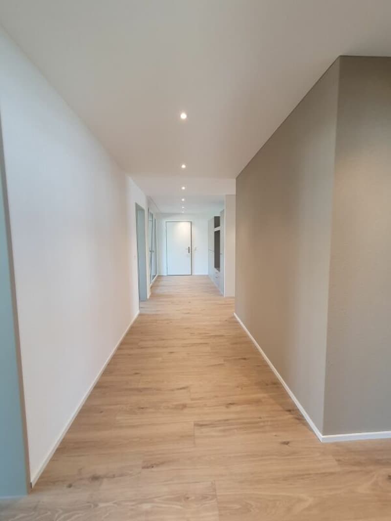 Neubau: 4.5-Zimmer-Eigentumswohnung (3)