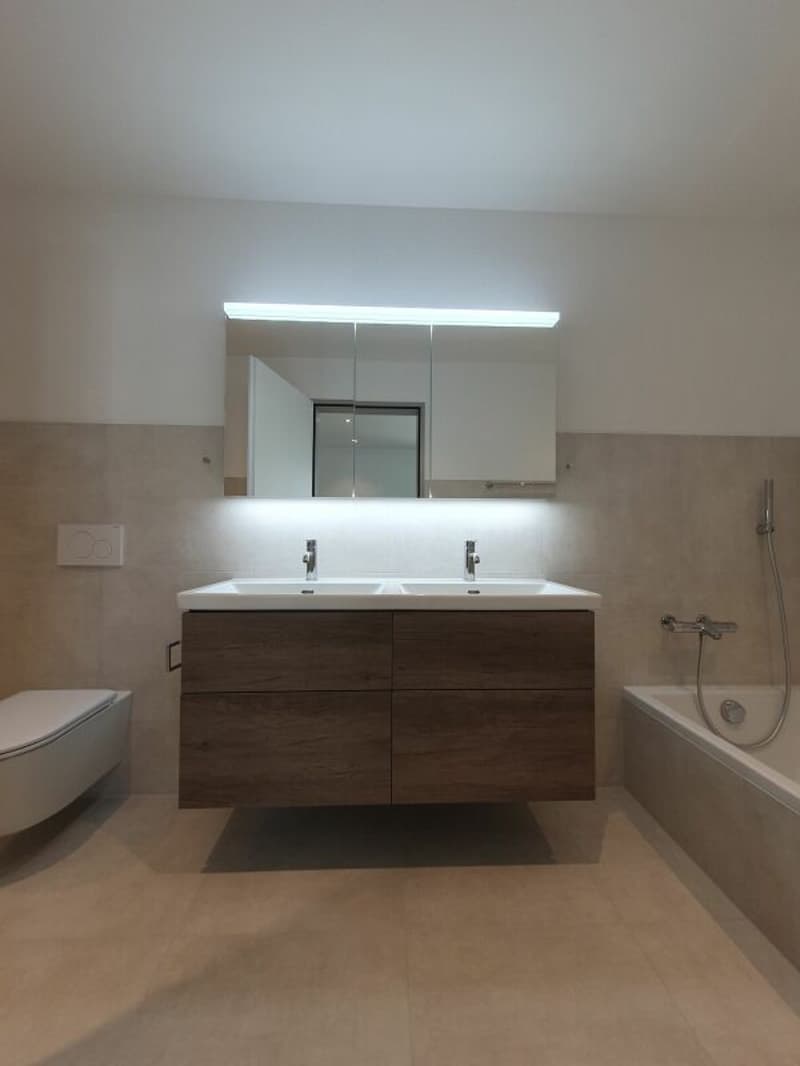 Neubau: 4.5-Zimmer-Eigentumswohnung (11)