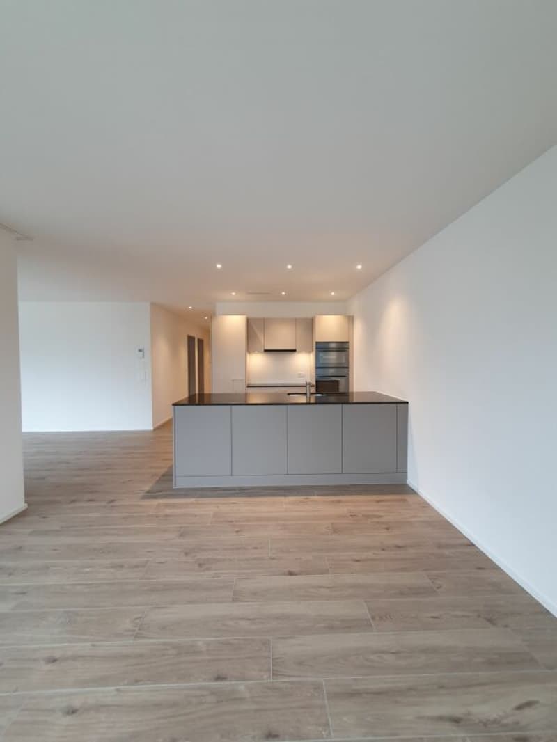 Neubau: 3.5-Zimmer-Eigentumswohnung (2)
