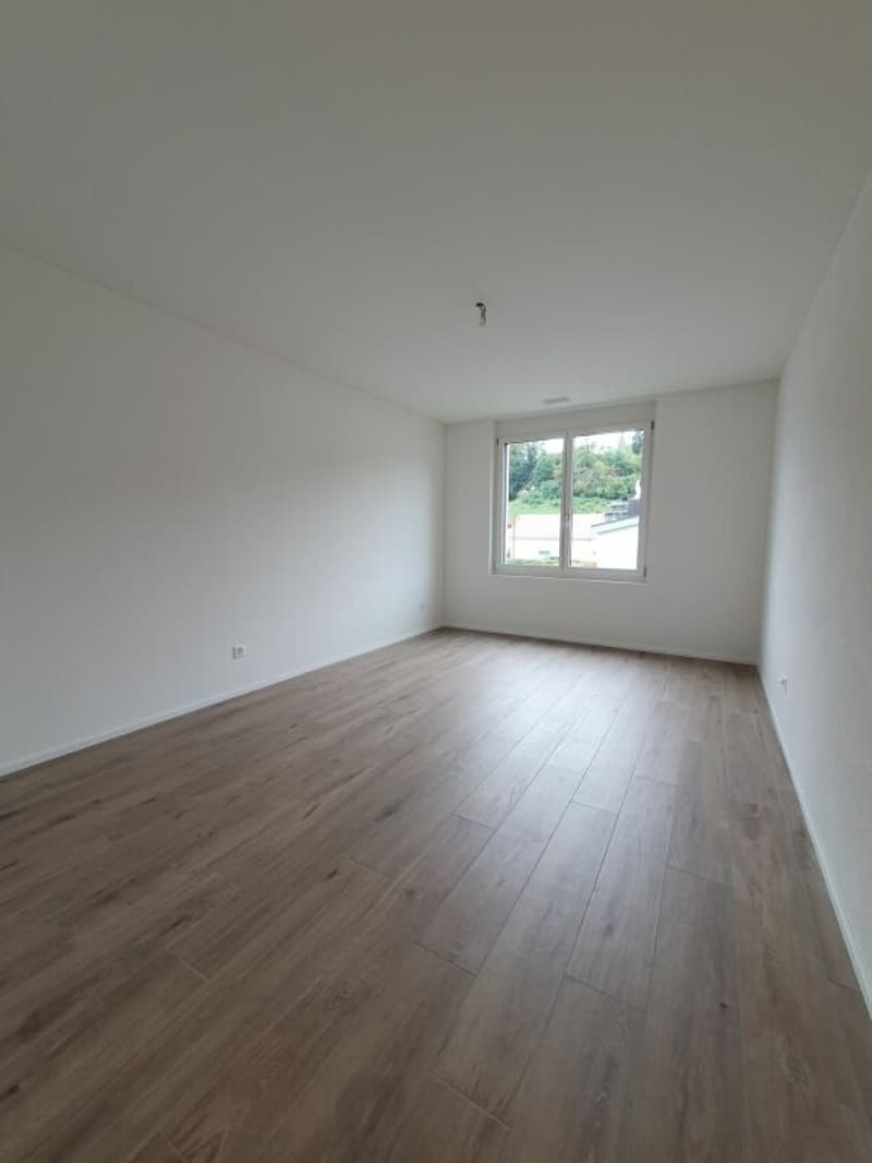 Neubau: 3.5-Zimmer-Eigentumswohnung (6)