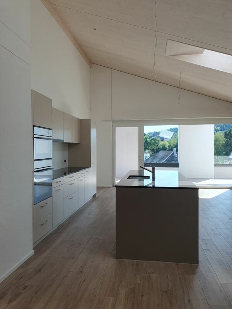 Neubau: 5.5-Zimmer-Eigentumswohnung (3)
