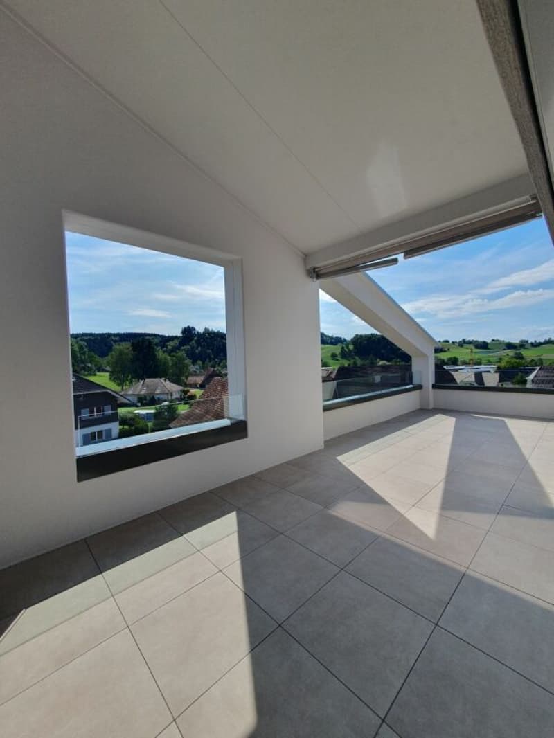 Neubau: 5.5-Zimmer-Eigentumswohnung (11)