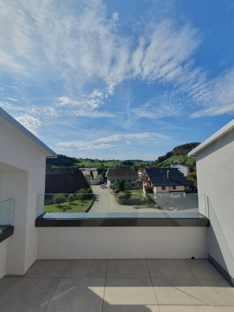 Neubau: 5.5-Zimmer-Eigentumswohnung (15)