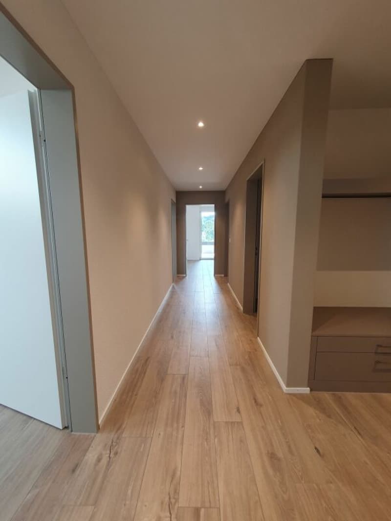 Neubau: 5.5-Zimmer-Eigentumswohnung (5)