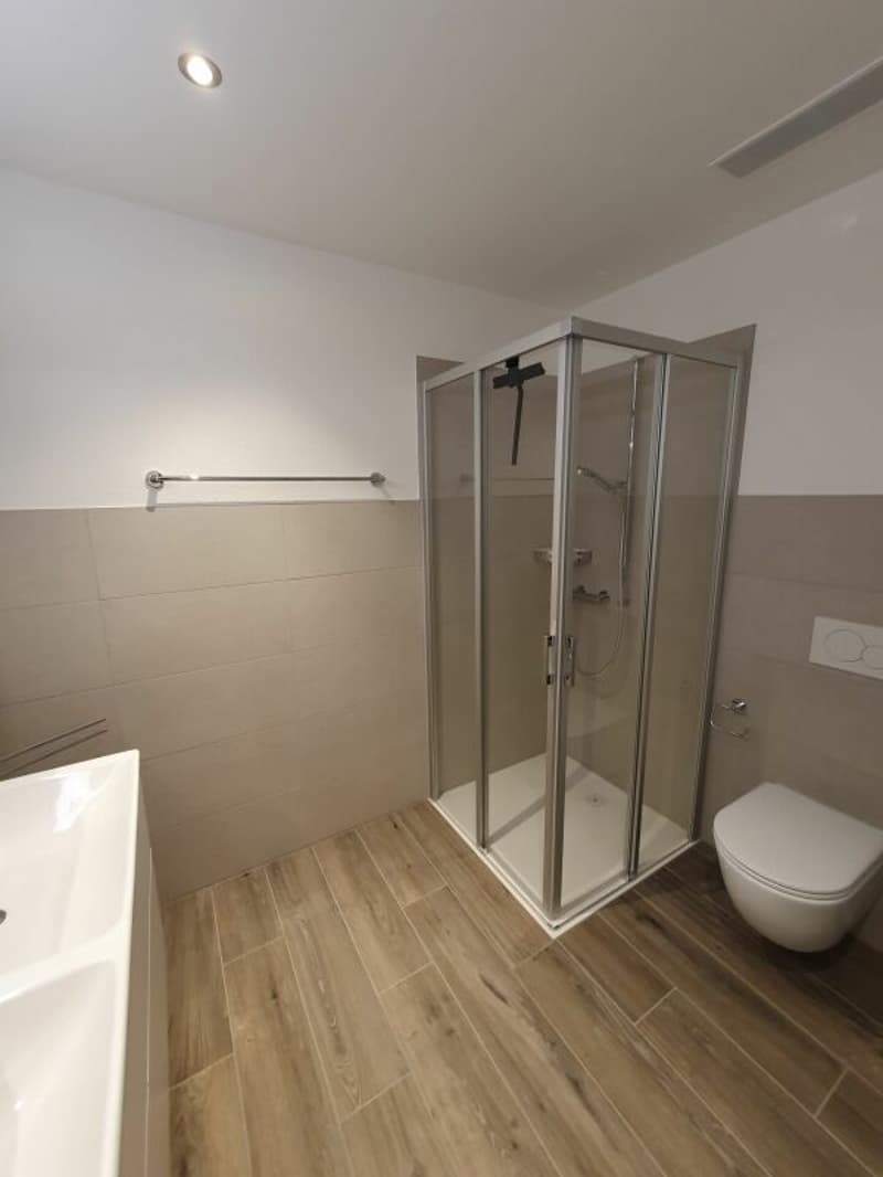 Vermietung: 2.5-Zimmer-Dachwohnung (10)