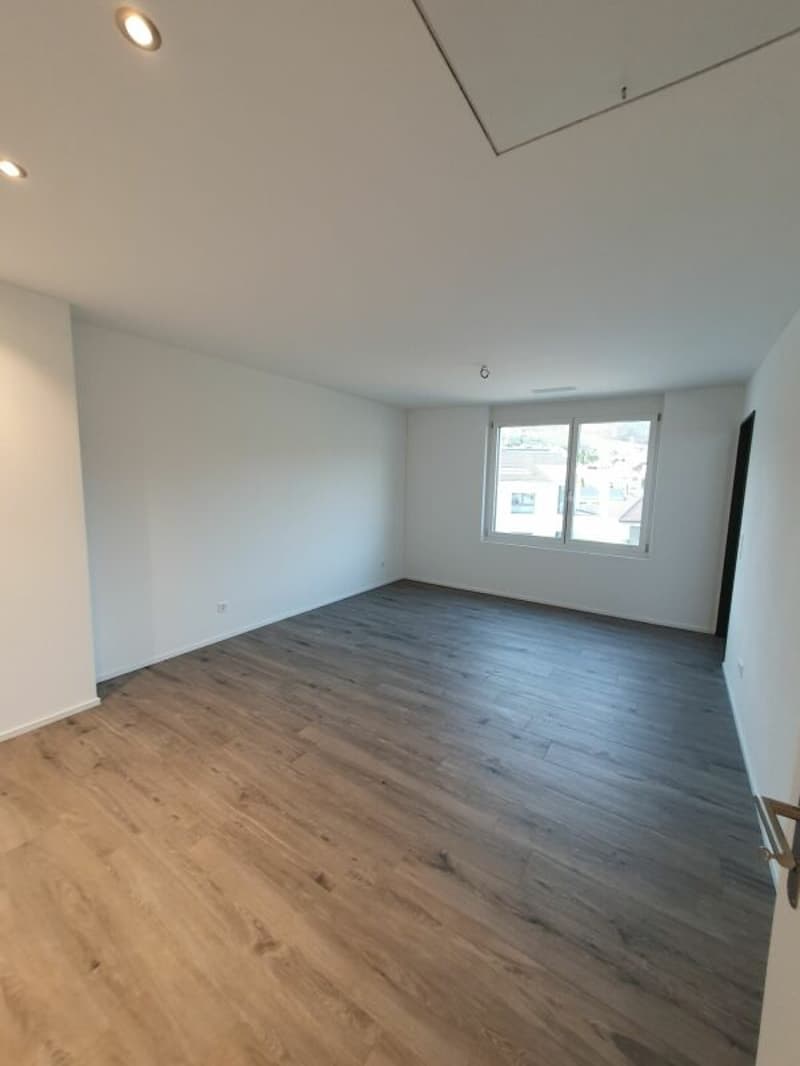 Vermietung: 3.5-Zimmer-Dachwohnung (9)