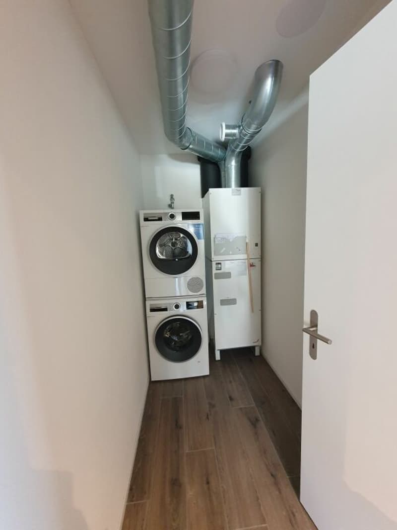 Vermietung: 4.5-Zimmer-Dachwohnung (15)