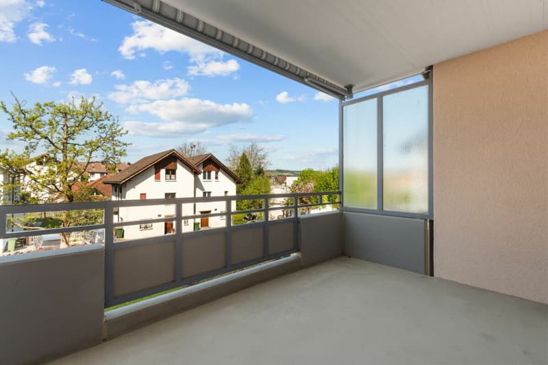 3.5 Zimmer-Wohnung in gepflegtem Wohnquartier (7)