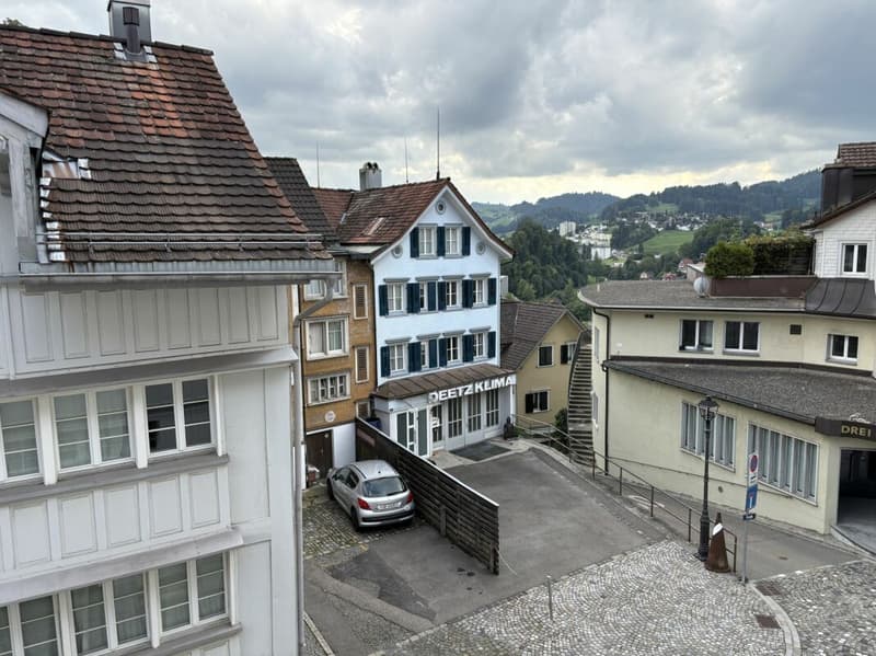 Bijou-Wohnung nahe Zentrum! Raumhöhe 2.12m. Günstig! Hell. Renoviert. 3.0-Zimmer in stilvollem Haus! (4)
