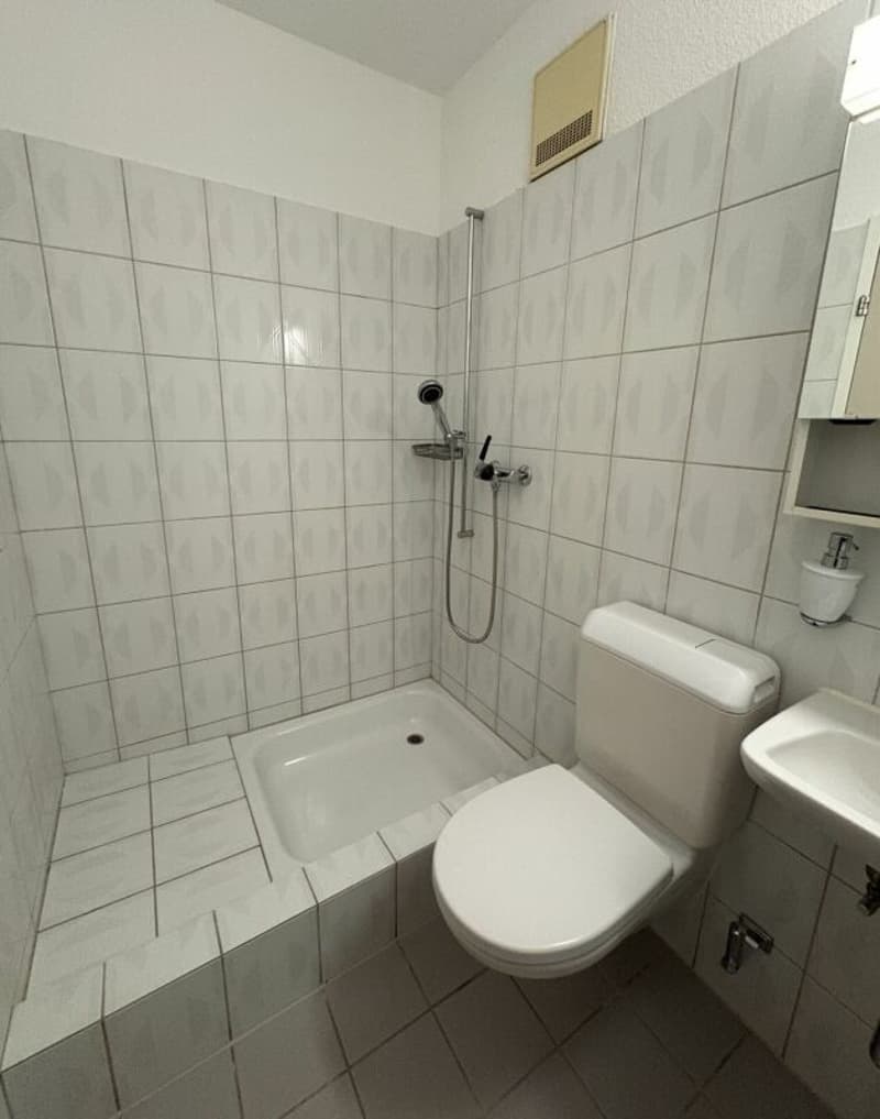Grosszügige 4.5 Zimmerwohnung inkl. Einstellplatz in TG zu vermieten (5)