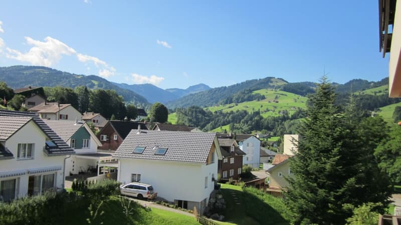 Preiswert! schöne, sonnige, grosszügige EG-4.5 Zi-Wohnung mit grossem Balkon und Bergsicht! (5)
