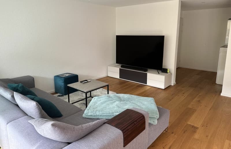 helle, renovierte Wohnung an idealer Lage (1)