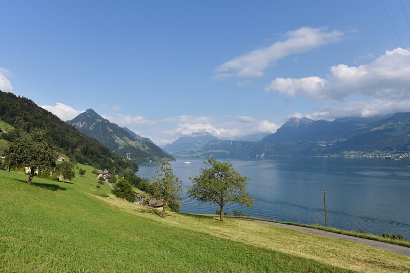 Wohnen an sehr exklusiver Lage im Bauernland von Ennetbürgen