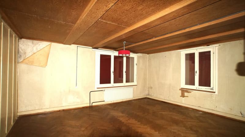 Sanierungsbedürftige Altliegenschaft mit Baulandreserve (10)