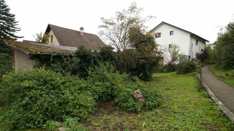 Bauland mit Altliegenschaft (MFH Neubau Konzept-Studie vorhanden) (10)