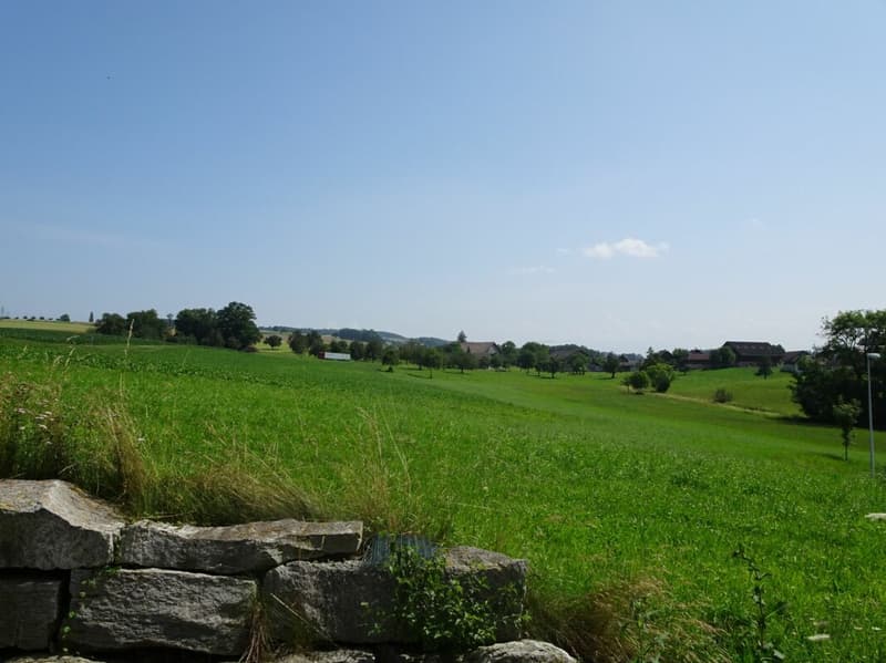 Bestens besonntes Bauland an unverbaubarer Lage (11)