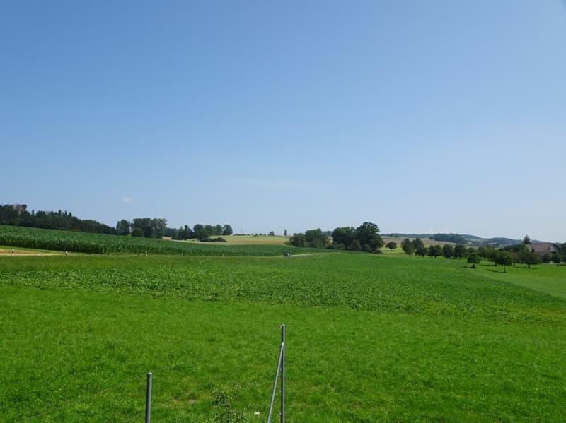 Bestens besonntes Bauland an unverbaubarer Lage (6)
