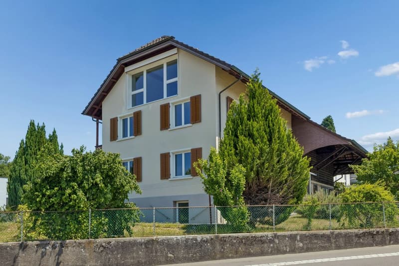 Grosses Bauernhaus mit Scheune / Bauland für Neubauprojekt (1)
