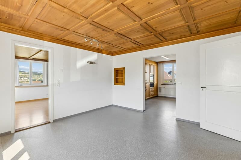 Grosses Bauernhaus mit Scheune / Bauland für Neubauprojekt (5)